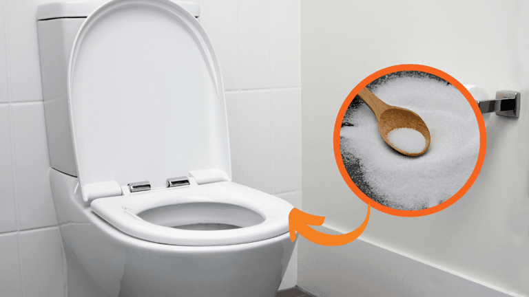 🔥 A Surpreendente Técnica do Sal Grosso no Vaso Sanitário!